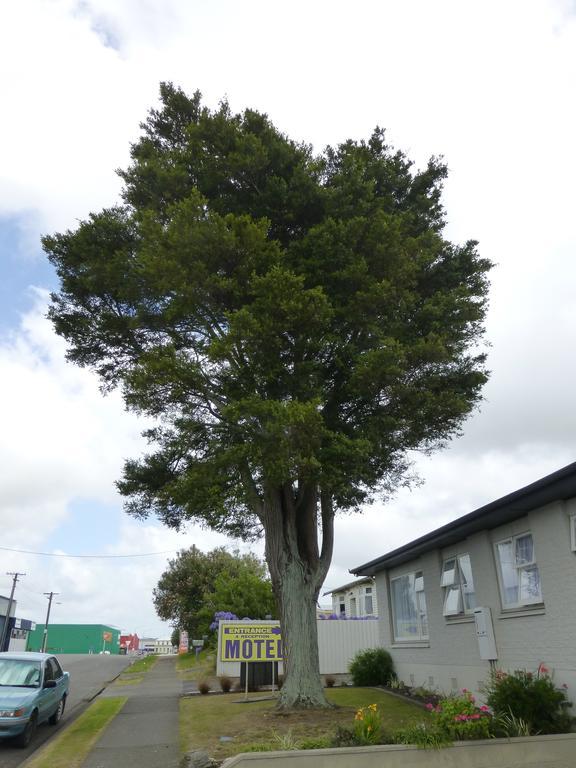 Totara Lodge Motel Levin Exterior foto